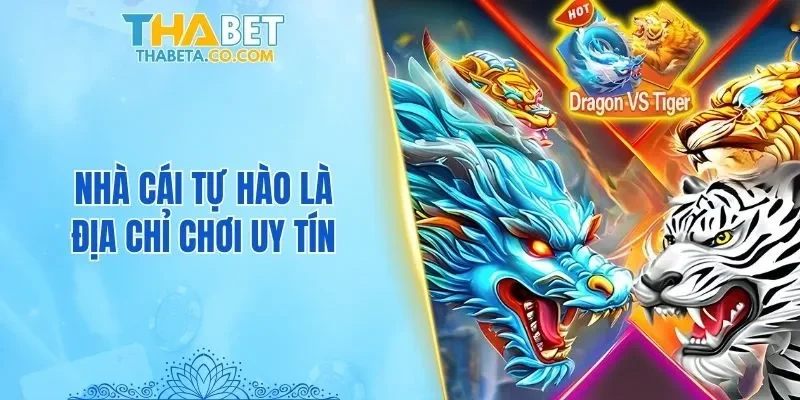 Bật Mí 5 Cách Chơi Rồng Hổ Hay Khả Năng Chiến Thắng Đậm 2 Nhà cái tự hào là địa chỉ chơi uy tín